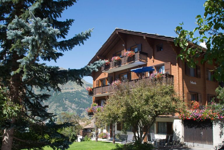 ansicht sued ost chalet soldanella graechen 768x513