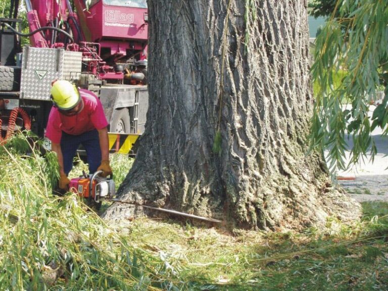 hauswartungen fredys facilitymanagement 04 768x576