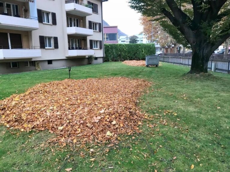 hauswartungen fredys facilitymanagement 07 768x576