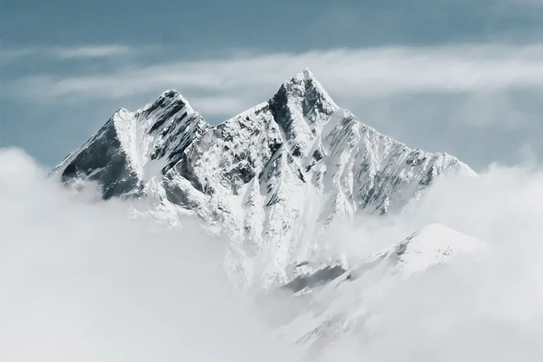 lg partner advokatur notariat 02 768x512