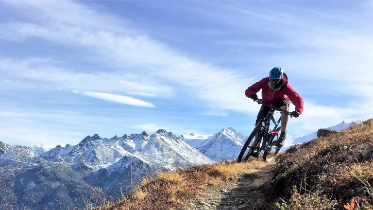 one bike snowboard shop 02 768x432